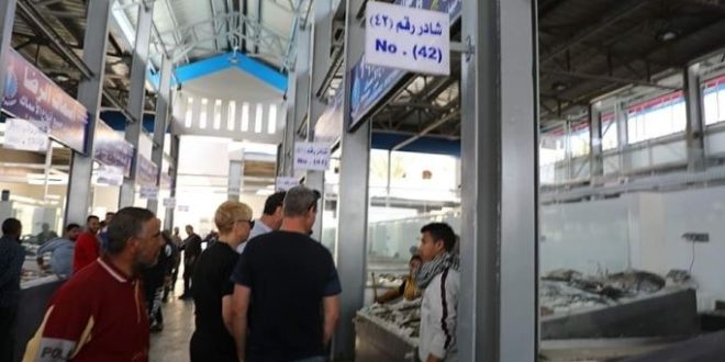 توافد المواطنين والسائحين علي حلقة السمك الجديدة بالغردقة