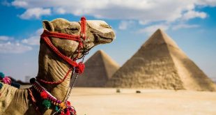 مصر تكشف عن تسهيلات جديدة لدفع الحركة السياحية الوافدة في بورصة برلين