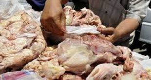 ضبط 259 طن دواجن ولحوم وأسماك مجمدة فاسدة