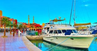 توماس كوك تحل صعوبات السياح البريطانيين للسفر إلى الغردقة