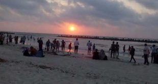 شاطئ النخيل