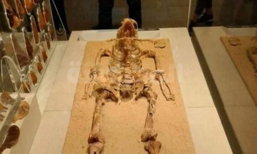 الباحثان البرازيليان لم يتخذا إجراءات تصور لوجه هيكل نزلة خاطر القانونية