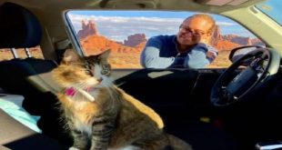 باو زى .. قطة زارت 5 دول و45 ولاية و 22 متنزهًا وطنيًا في الولايات المتحدة