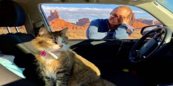 باو زى .. قطة زارت 5 دول و45 ولاية و 22 متنزهًا وطنيًا في الولايات المتحدة