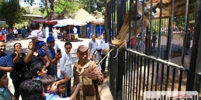 20 ألف زائر لحديقة الحيوان في 3 ساعات