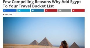 " Focus " يكشف أسباب اختيار السياح لمصر ضمن المقاصد التي يخططون للسفر إليها