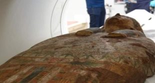 السياحة تنفي .. جدل واسع حول خروج قطع أثرية مصرية من متاحفنا إلى إسرائيل