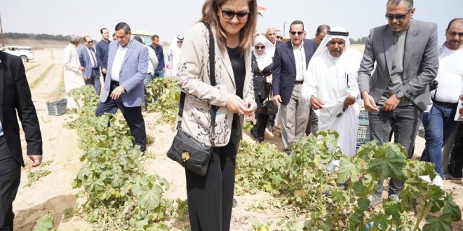 وزيرة التخطيط تزور معرض المنتجات السيناوية وتتفقد زراعات قرية الظهير