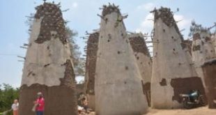 الشرقية تستقبل رحلتين من القاهرة والإسكندرية لتنشيط السياحة الداخلية