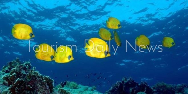 The Times تنشر تقريراً عن مقومات مصر السياحية والأثرية .. لديها الكثير