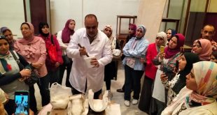 الأسس الإدارية والفنية للعمل الأثري بالمناطق والمتاحف المصرية