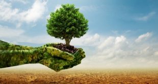 رفع الوعي بمشكلات تغير المناخ وتحفيز المواطنين بالمحافظات وحلول للمشكلات