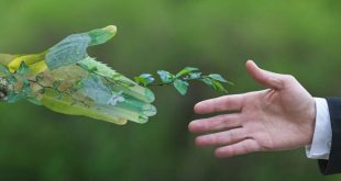 الإمارات ترسخ لقطاع سياحي مستدام وتروج للسياحة الخضراء