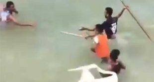 مشاجرة بين مصطافين بشواطئ الإسكندرية استخدمت فيها الشوم وعصي «الشماسي»