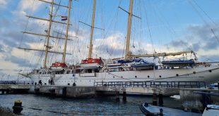 ميناء بورسعيد السياحي يستقبل أكبر السفن الشراعية في العالم تقل 450 راكباً
