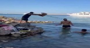 حنفي يشكل لجنة بشأن فيديو إلقاء شخص زجاجات فارغة بمياه البحر الأحمر