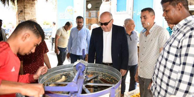 أول قطفة عسل نحل طبيعي بمشروعات الأمن الغذائي بقنا