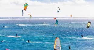 ركوب الأمواج والتزلج تجذب ملايين المسافرين للشواطئ