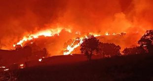 اندلاع حريق ضخم بالسليمانية وتفحم الحشائش والأشجار الطبيعية بـ 300 دونم