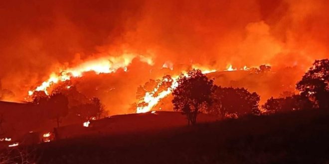 اندلاع حريق ضخم بالسليمانية وتفحم الحشائش والأشجار الطبيعية بـ 300 دونم