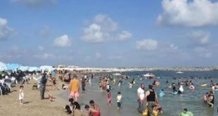 الإسكندرية : هدوء حالة هيجان البحر والشواطئ ترفع الراية الخضراء