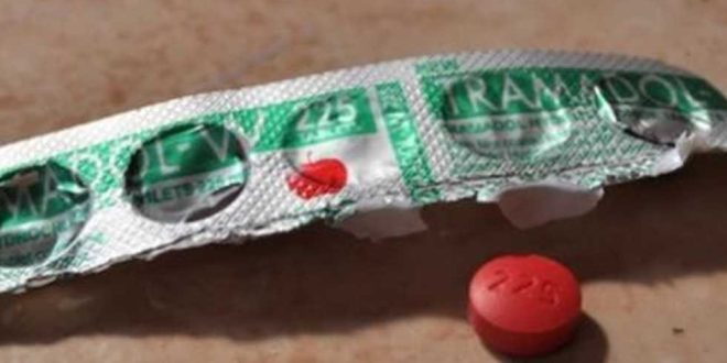 جمارك مطار الغردقة تضبط راكباً ألمانىاً بحوزته 18 شريط ترامادول