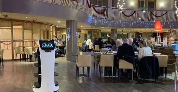 زيادة كبيرة في أعداد رواد مطاعم السياحة بالقاهرة والجيزة والساحل الشمالي