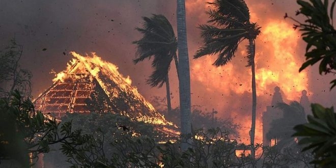 كارثة الجزر الأكثر فتكا .. ارتفاع حصيلة ضحايا حرائق هاواي إلى 67 قتيلا