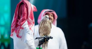 أغلى صقر حر في الشرق الأوسط يباع بنصف مليون ريال في السعودية