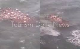 عمال الإنقاذ يطلبون المزيد من أكياس الجثث والمساعدات الدولية بطيئة لدرنة