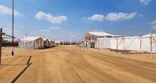 الهجن والخيول