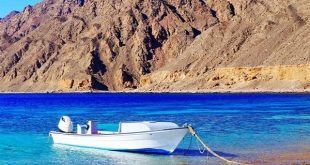 إنشاء فندق على شواطئ محمية أبو جالوم بجنوب سيناء لتنشيط السياحة البيئية