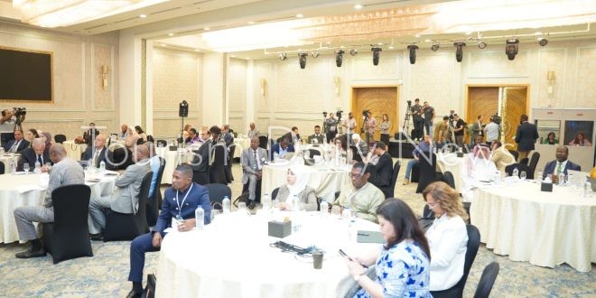التخطيط تستعرض تجربة مصر في موءامة خطط التنمية مع خطة 2030 وأجندة أفريقيا