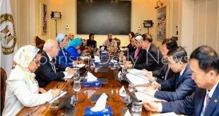 الصين تستثمر بـ 4 مجالات في مصر وحوافز اقتصادية خضراء