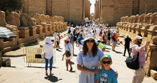 وزارة العمل تطلب من راغبي التوظيف بالسياحة بالأقصر شهادات المهارة وتدريب