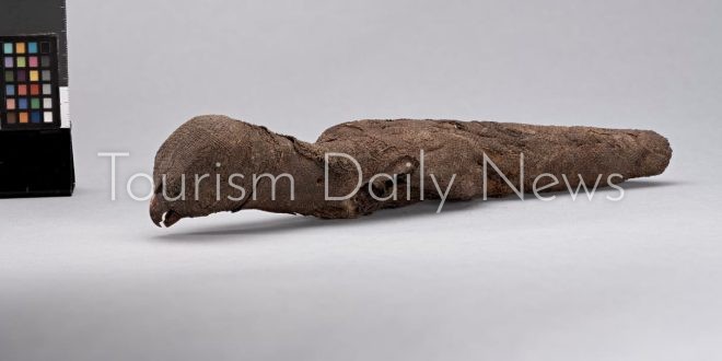 متحفا وانجانوى وساوث ايلاند بنيوزيلاندا يردان قطع أثرية مصرية مهربة