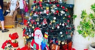 توقعات بزيادة إشغالات الفنادق .. السياحة تستعد لأعياد الكريسماس ورأس السنة