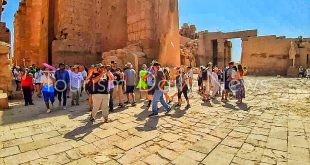 استمرار الشارتر للأقصر