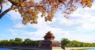 إدراج المتنزّه الثقافي لغابة الشاي في الصين ضمن قائمة التراث العالمي