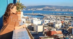 مصر الثامنة عالمياً في البحث على جوجل ودولة عربية ترافق مصر بالعشرة الكبار