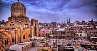 إخطار شركات السياحة بافتتاح المسار السياحي لمنطقة آثار الدرب الأحمر