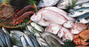 أمريكا تفرض حظراً على استيراد سمك السلمون والقد والبلوق وسرطان البحر الروسي