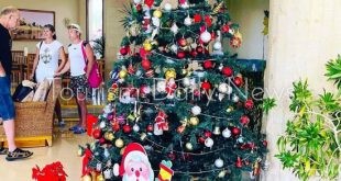 9 فنادق من بين 41 بالإسكندرية تقدمت لإقامة حفلات الكريسماس ورأس السنة 2024