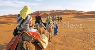 إدارة البرامج بالسياحة تبدأ تلقي طلبات تنظيم رحلات السفاري الصحراوية بشروط