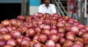 مصر تعلن بدء تصدير البصل مطلع أبريل المقبل