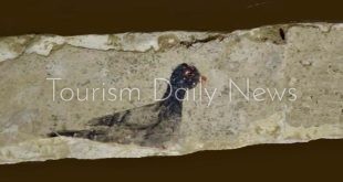 مصر : الكشف عن عدد من المقابر تعود للعصرين البطلمي والروماني