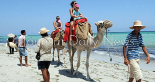 فيتش تتوقع تراجع عائدات السياحة المصرية إلى 11 مليار دولار بسبب حرب غزة