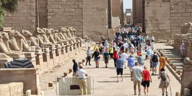 زيادة الطلب على المناطق الأثرية والمتاحف بالأقصر