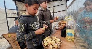 من لم يمت من القصف مات من الجوع .. الفلسطينيون يدفعون ثمناً غالياً للحرية