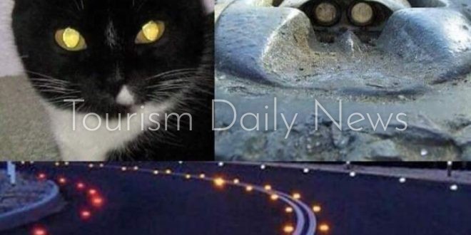 عيون القطط صديق السائقين ليلاً على الطريق .. متى اخترعت العواكس؟